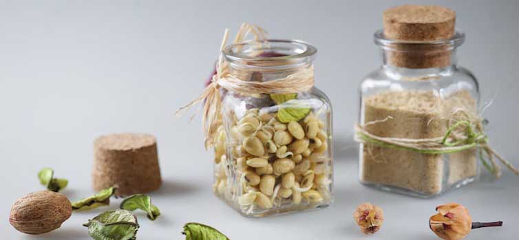 Зерна сои - лучший источник незаменимых аминокислот, витаминов и минералов