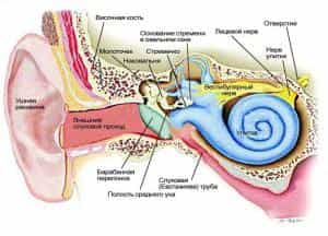 Неврит слухового нерва