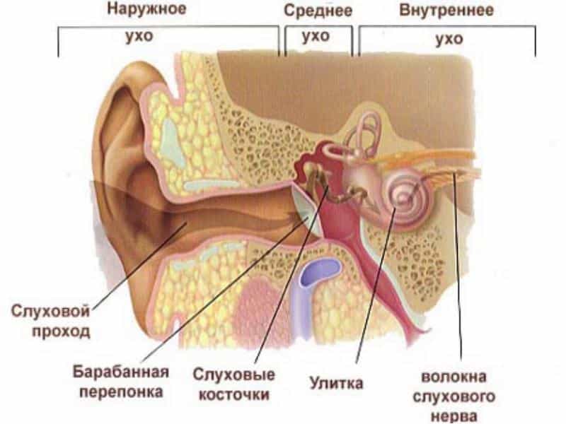 Отит катаральный средний острый