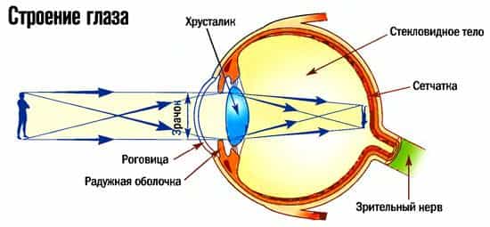 Дальнозоркость