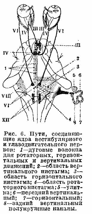 Нистагм