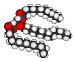 Шариковая модель молекулы жира