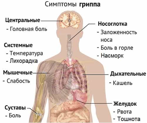 Симптомы гриппа