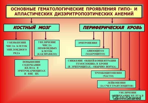 Гипопластическая анемия