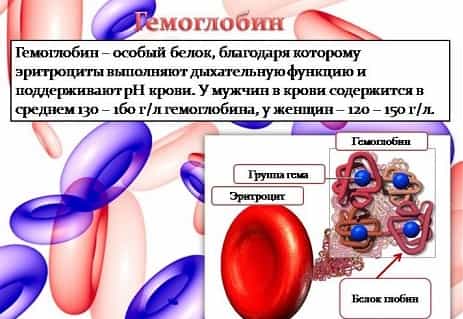 Гемоглобин