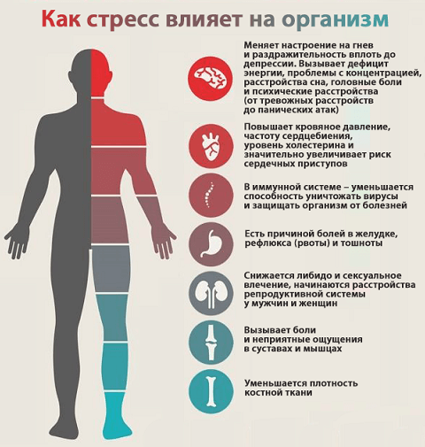 Как стресс влияет на организм