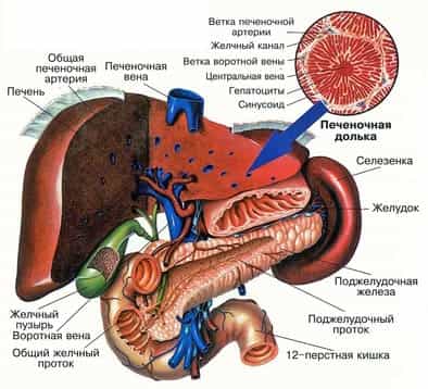 Печеночная недостаточность