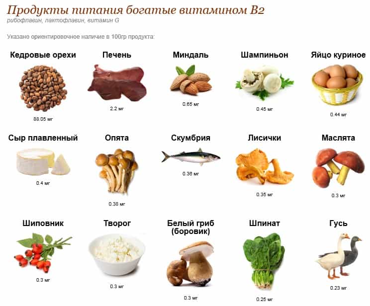 Продукты питания богатые витамином В2
