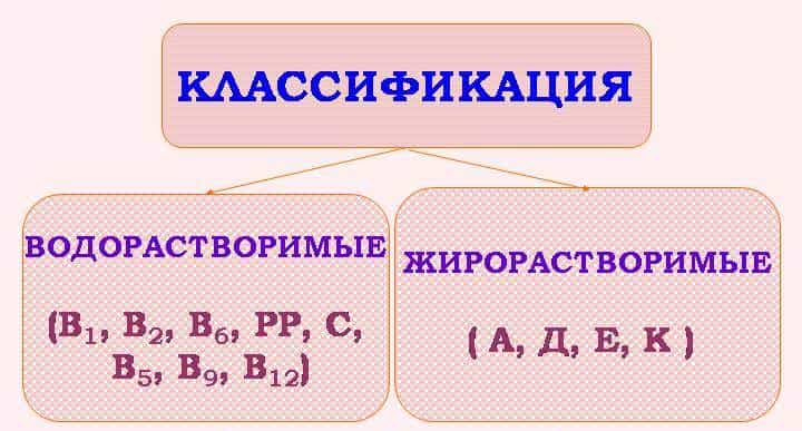 Классификация витаминов