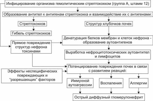 Гломерулонефрит острый диффузный