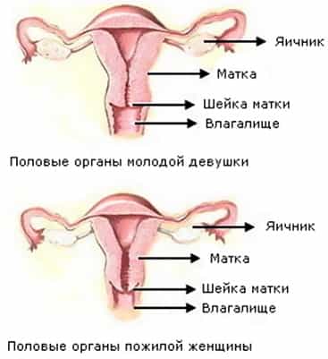 Менопауза фото