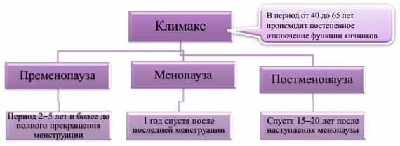 Стадии климактерического периода фото