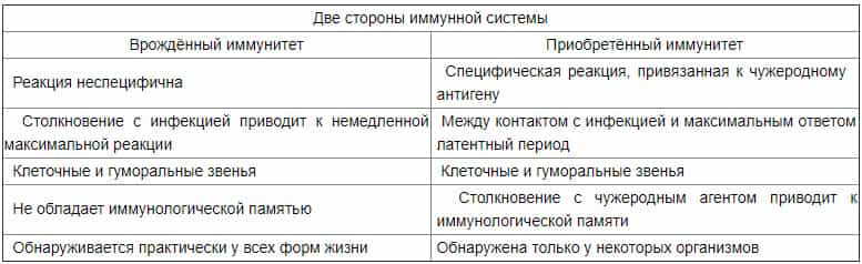 Иммунная система человека - две стороны